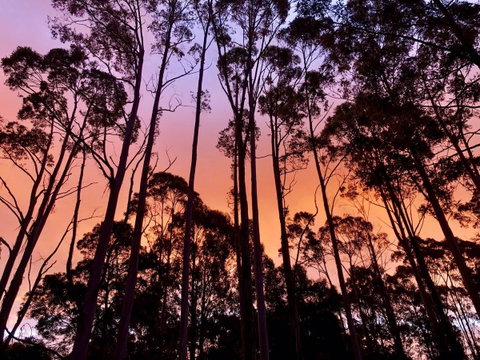 Lemonthyme Wilderness Retreat - Broome Tourism 8