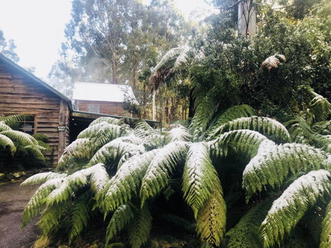 Lemonthyme Wilderness Retreat - Broome Tourism 5