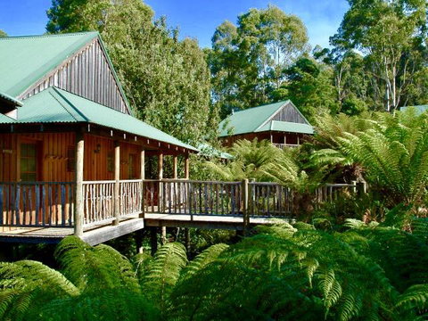 Lemonthyme Wilderness Retreat - Broome Tourism 11
