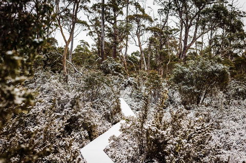 Cradle Mountain Hotel - Broome Tourism 6