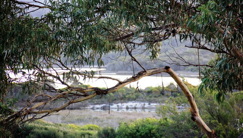 KINGFISHER COTTAGE Beachfront At The Binalong Bay - Broome Tourism 17
