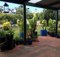 Blue Wren Bungalow - Broome Tourism