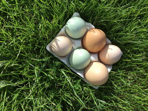 Nextdoor@portarthur - Broome Tourism 15