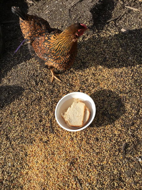 Nextdoor@portarthur - Broome Tourism 16