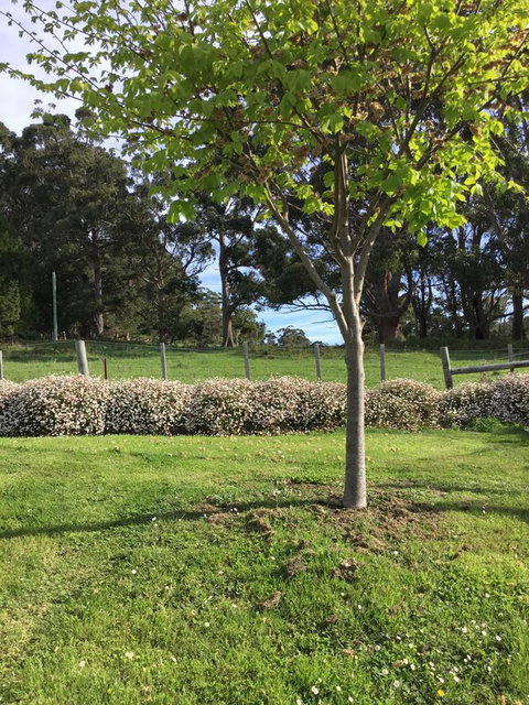 Nextdoor@portarthur - Broome Tourism 17