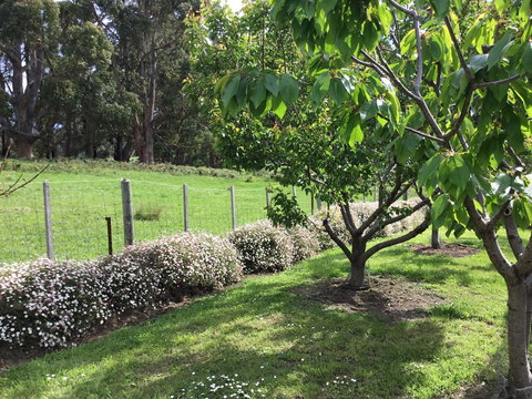 Nextdoor@portarthur - Broome Tourism 18