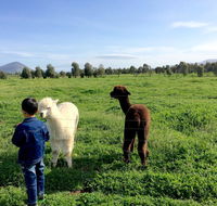Taras Richmond Farmstay - Broome Tourism