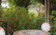 The Wombat Cottage - thumb 5