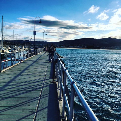 The Dolphin Apartments - Broome Tourism 16