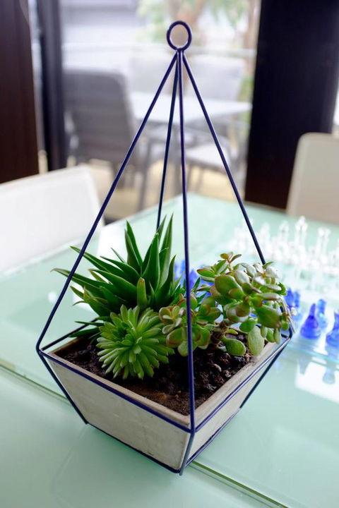 Ocean View Treetops Retreat - Broome Tourism 15