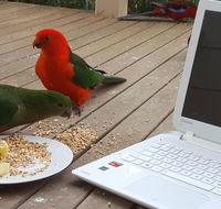 Wilsons Promontory Motel - Broome Tourism