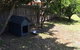 Jacaranda House - thumb 9