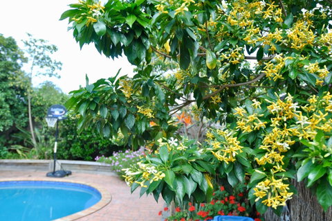 Crimea Retreat - Broome Tourism 20