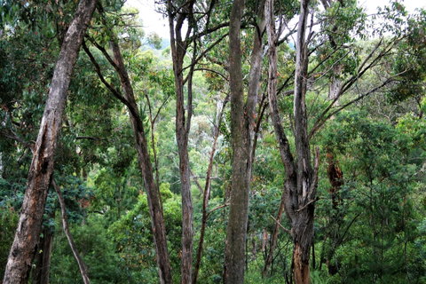 Tangenong Cottages - Broome Tourism 9