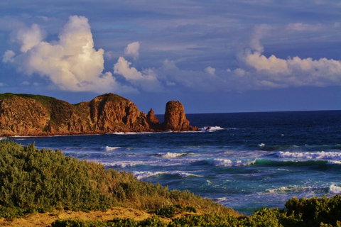 Arcadia Phillip Island - Broome Tourism 27