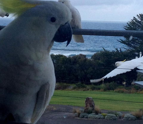 Apollos View Accommodation - Broome Tourism 21