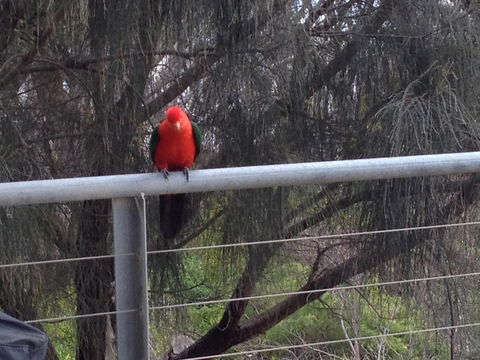 Apollos View Accommodation - Broome Tourism 23