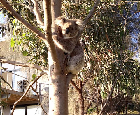 Apollos View Accommodation - Broome Tourism 22