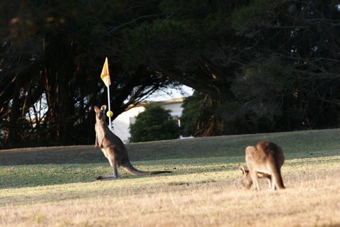Lakeside At Mallacoota - Broome Tourism 37