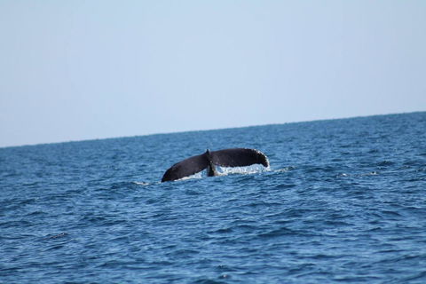 The Cove Holiday Village - Broome Tourism 1