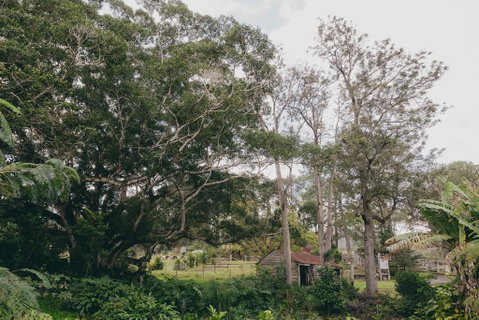 The Eumundi Dairy - Broome Tourism 1