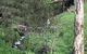 The Miners Cottage, Barossa - thumb 0