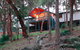Treehouse - 3 Acre Elevated Nature Setting - thumb 3
