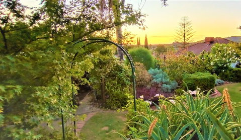 Treetops Escape - Broome Tourism 1