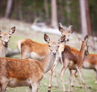 Villa Cervi Property - Broome Tourism
