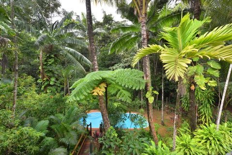 Wait A While Daintree - Broome Tourism 3