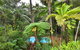 Wait A While Daintree - thumb 3