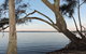 Waterfront Jervis Bay Escape Cooinda - thumb 0