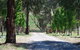 Bluegum Ridge Cottages - thumb 3