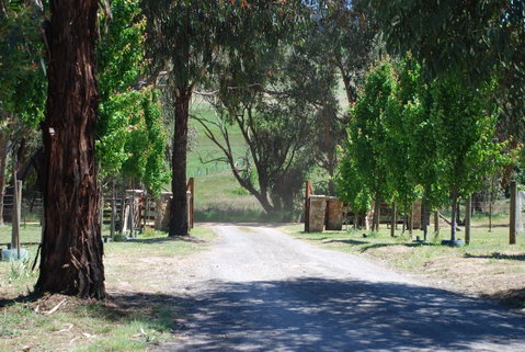 Bluegum Ridge Cottages - Broome Tourism 3