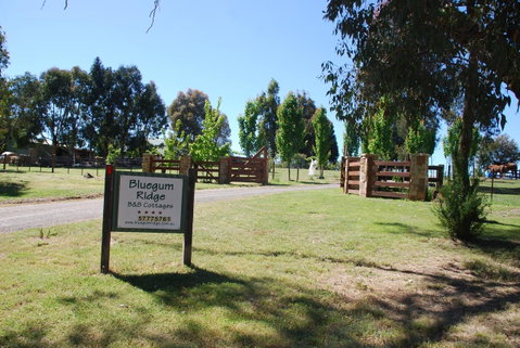 Bluegum Ridge Cottages - Broome Tourism 1