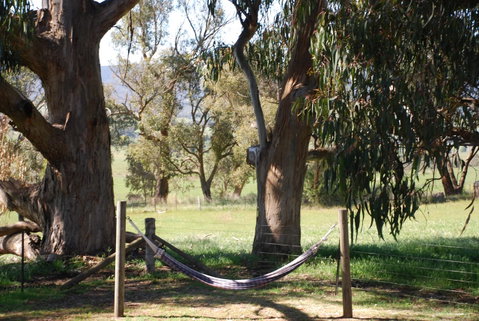Bluegum Ridge Cottages - Broome Tourism 28