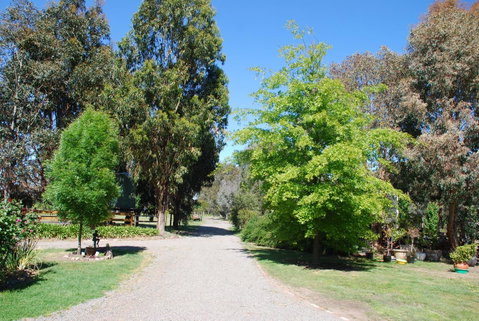 Bluegum Ridge Cottages - Broome Tourism 5