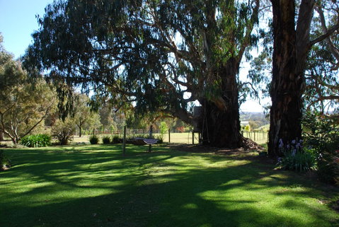 Bluegum Ridge Cottages - Broome Tourism 29