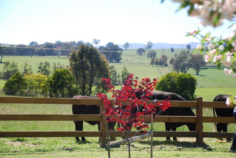 Bluegum Ridge Cottages - Broome Tourism 33