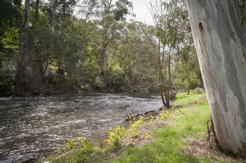Oscar\'s On The Yarra - Broome Tourism 23
