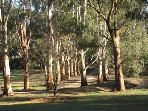Kangaroo Manor - Broome Tourism 21