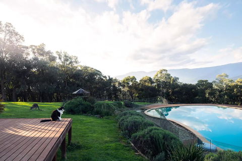 Kangaroo Manor - Broome Tourism 23