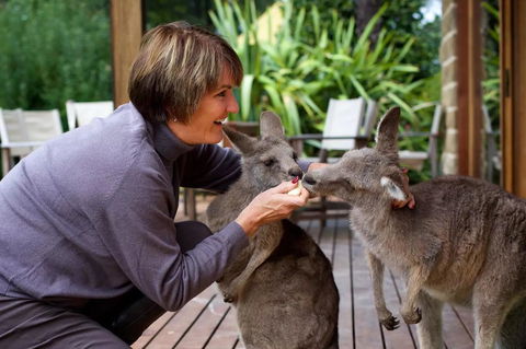 Kangaroo Manor - Broome Tourism 20