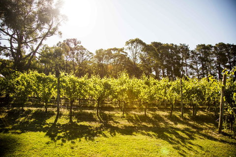 Polperro Villas - Broome Tourism 18