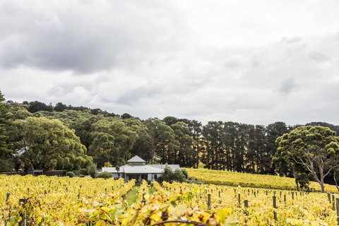 Polperro Villas - Broome Tourism 21