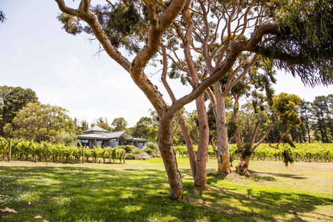 Polperro Villas - Broome Tourism 17