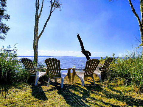 Lake Weyba Noosa Lodge & Kangaroos - Broome Tourism 44