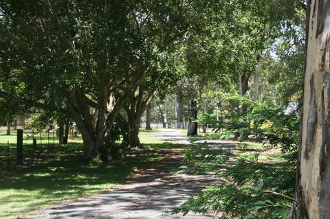 Lake Weyba Noosa Lodge & Kangaroos - Broome Tourism 34