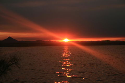 Lake Weyba Noosa Lodge & Kangaroos - Broome Tourism 41