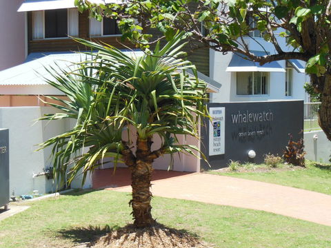 Whale Watch Ocean Beach Resort - Broome Tourism 15